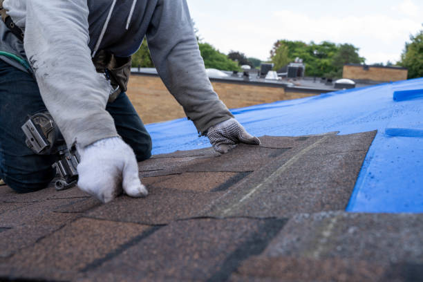 Roof Waterproofing Services in Raleigh Hills, OR
