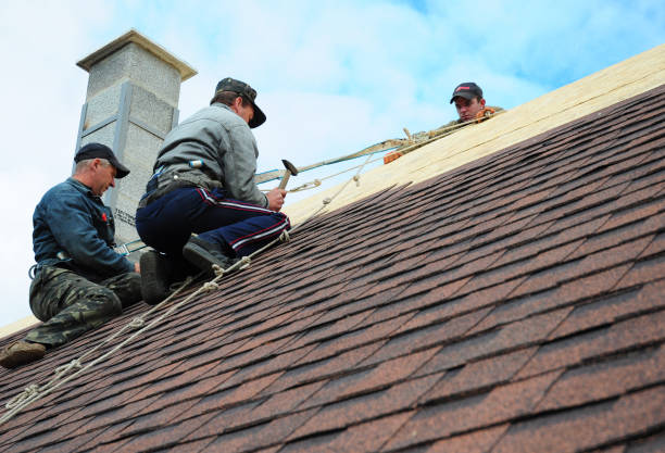 Roof Waterproofing Services in Raleigh Hills, OR